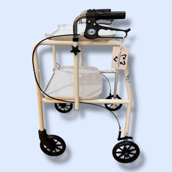 “Days” Trolley Walker - Used
